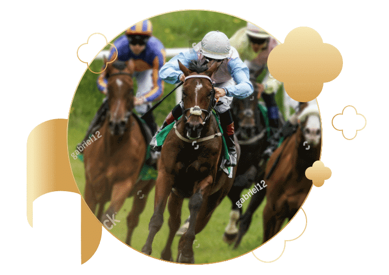 Horse Racing Betting Sites